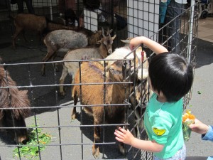 IMG_4517