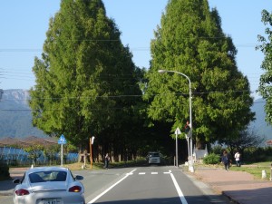 画像 017