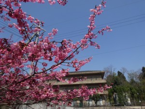 DSC01448