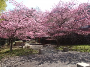 DSC01449