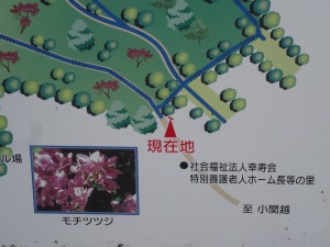 DSC01460