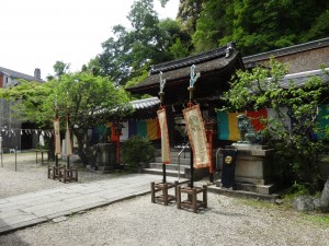 DSC07500