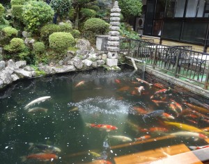 DSC07882編集