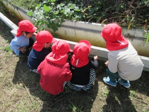 令和6年度入園募集について