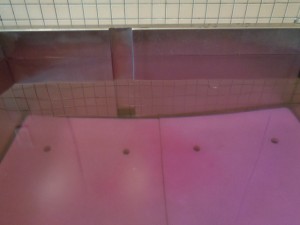 DSC05410